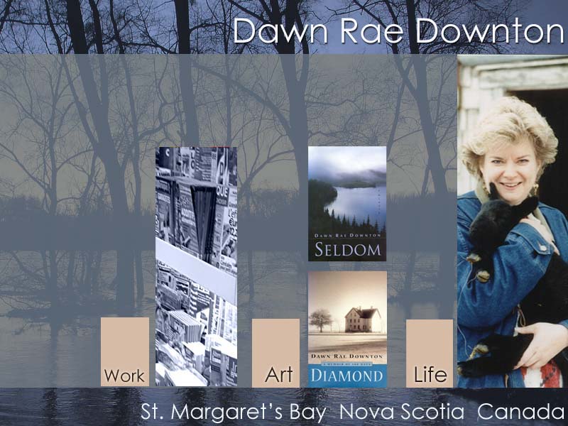 graphic of homepage navigation for DawnRaeDownton.com